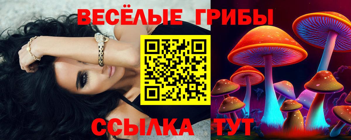Прокопьевск  где продают наркотики  Вход с VPN  Галлюциногенные грибы MAGIC MUSHROOMS 